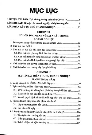 Nhà Lãnh Đạo Kim Cương (7 Bước Xây Dựng Đội Ngũ Tài Năng Giúp Doanh Nghiệp Tăng 300% Lợi Nhuận) - Tái Bản