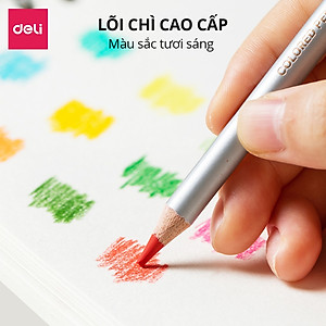 Hộp bút chì màu gốc dầu Dmast cao cấp Deli - Hộp thiếc màu đậm, tươi sáng, tô vẽ tranh cho người mới, chuyên nghiệp cho người mới