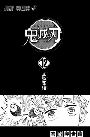 鬼滅の刃 12 - ONI METSU NO HA 12