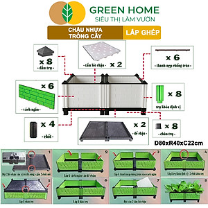 Chậu Trồng Cây Greenhome, Nhựa Nguyên Sinh Lắp Ghép, Nhiều Kích Thước, Trồng Hoa Hồng, Rau, Củ, Quả, Độ Bền 5 Năm