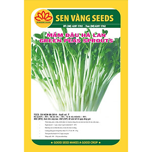 Hạt giống rau mầm đậu Hà lan (gói 50g) giống khỏe mầm tốt VTS46