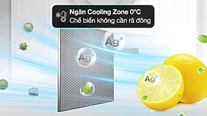 Tủ lạnh Toshiba Inverter 253 lít GR-RT329WE-PMV(52) - Hàng Chính Hãng (Chỉ giao HCM)