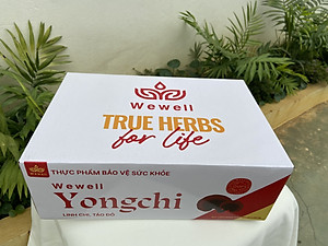 TPBVSK Nước uống thảo dược Wewell Yongchi (thùng 24 lon)
