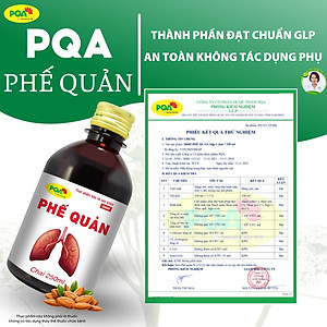 Siro Phế Quản PQA Thành Phần Từ Thiên Nhiên Giúp Bổ Phế, Ho Hộp 250ml