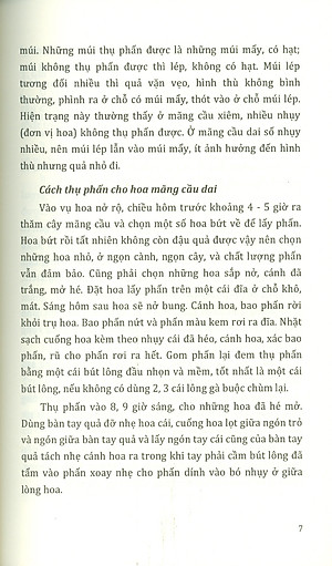 Kỹ Thuật Trồng, Chăm Sóc Cho Năng Suất Cao MÃNG CẦU, NHÃN, XOÀI