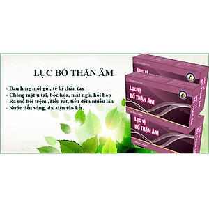 Viên uống Lục vị bổ thận âm Vinh Thịnh Vượng VV, hộp 20v, tư âm bổ thận, tăng cường sinh lý