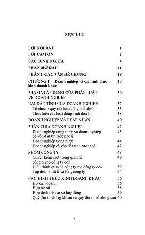 Pháp luật về doanh nghiệp – Các vấn đề pháp lý cơ bản (tái bản lần 1 năm 2024) 