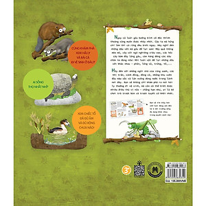 Sách Hải Ly "Giải Quyết Nỗi Buồn" Ở Đâu