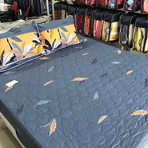 Bộ ga chun chần cotton Sông Hồng 120cm x 190cm