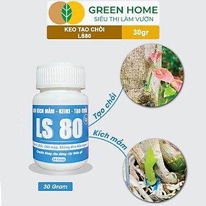Keo Tạo Chồi LS80, Greenhome, Hũ 30gr, Tạo Mầm Tại Vị Trí Bất Kỳ, Có Chọn Lọc, Không Suy Cây, Đen Chồi
