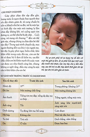 Sách Phương Pháp Montessori - Cẩm Nang Nuôi Dạy Con