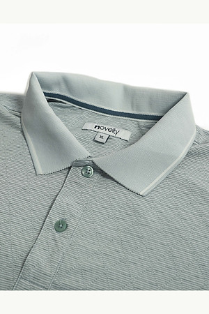 Áo Polo nam Novelty Regular fit NATMINMCLR210085N