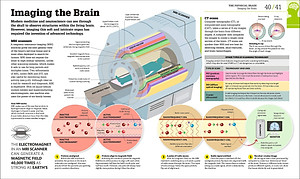 How The Brain Works: The Facts Visually Explained (How Things Work)