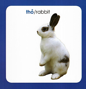 Từ Điển Hình Ảnh Cho Bé: Động Vật (Tái Bản 2019)