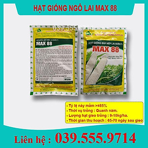 Khám Phá Max88 - Địa Chỉ Uy Tín Hàng Đầu Trong Thị Trường Đặt Cược Trực Tuyến
