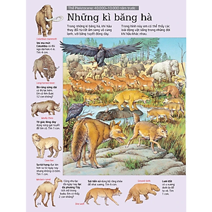 Sách Thử tài tìm kiếm – Thành phố