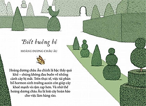 Sống Như Những Cái Cây - Những Bài Học Nhỏ Để Có Nguồn Hạnh Phúc Bất Tận (Tái Bản 2021)