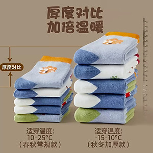 SET 5 ĐÔI TẤT VỚ 48 DỄ THƯƠNG TỪ 1-12 TUỔI DÀNH CHO BÉ TRAI BÉ GÁI