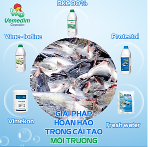 Vemedim Anti-fungi cá đặc trị nấm thủy mi, nhiễm khuẩn mang, nấm trong môi trường ao nuôi, chai 100ml