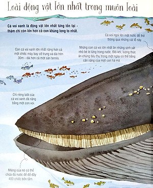 Sách Tương Tác - Big book - Cuốn sách khổng lồ về các loài động vật khổng lồ