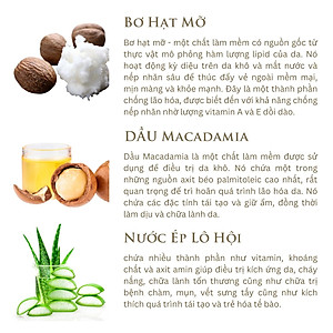 Kem dưỡng móng và da tay Thuần Chay Origani xuất xứ từ Úc - Body Hand & Nail Perfection Cream  (100 mL) - cung cấp dưỡng chất và độ ẩm cho da và móng