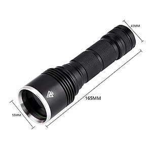 Đèn pin sạc cầm tay tia cực tím (UV) cao cấp Terino D113-UV (365nm, 20W)- Hàng chính hãng