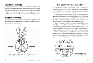 Sách Psych 101: Psychology facts, basics, statistics, tests, and more! (Adams 101)
