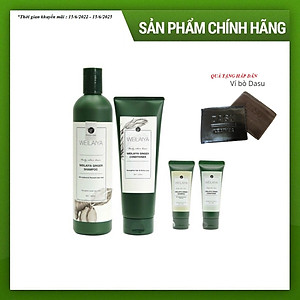 Dầu Gội Cặp Weilaiya Thảo Dược Mọc Tóc Hỗ Trợ Trị Gàu Dưỡng Tóc, Đen Tóc Cho Tóc Nhuộm Tinh Chất Gừng Cao Cấp Chiết Xuất 100% Từ Thiên Nhiên Không Chứa Sunfat Tạo Bọt (Gội: 400ml- Xả: 250ml)- Sản Phẩm Chính Hãng