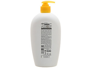 Nước rửa tay Lifebuoy Bảo vệ khỏi vi khuẩn 450gr - Chanh Khử Mùi