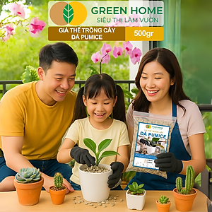 Đá Pumice Greenhome, Bao 500gr, Đất Trồng Sen Đá, Giá Thể Trồng Cây, Lót Chậu, Nhiều Khoáng Chất, Thoát Nước Tốt