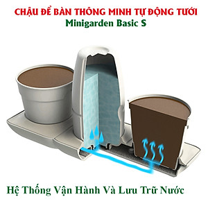 Chậu Để Bàn Tự Tưới và Tự bón phân Basic S , nhập khẩu Minigarden dành cho người yêu cây xanh nhưng không có thời gian chăm sóc cây (Giải pháp trồng cây TỰ DƯỠNG bền vững) (1 bộ gồm 2 chậu S, 1 khay hứng nước, 1 bình chứa nước và phân)