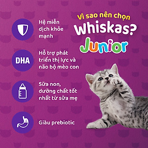 Thức Ăn Cho Mèo Con Whiskas Junior 2-12 Months Mackerel Flavour Vị Cá Thu 1.1kg/Túi