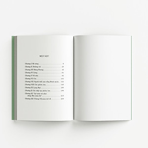 Sách Gió đùa trong liễu