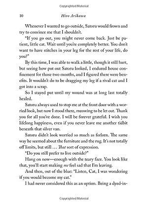 Sách The Travelling Cat Chronicles