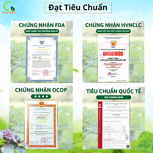 Bột Rau Má Đậu Xanh Quảng Thanh Hộp 180g ( 15g*12gói) - Mát gan, detox, giảm mụn, giảm cân, giải nhiệt cơ thể