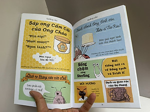 (Amazon’s Best Books of 2022) BOXSET 3 CUỐN HIỆP SĨ BỌ RÙA - Corey R.Tabor - San Hô - NXB Thanh Niên