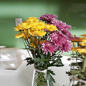 GÓI DƯỠNG HOA TƯƠI LONGLIFE CỦA ISRAEL (COMBO 30 GÓI), GIỮ HOA TƯƠI LÂU GẤP 2 LẦN VÀ 14 NGÀY KHÔNG THAY NƯỚC MỚI