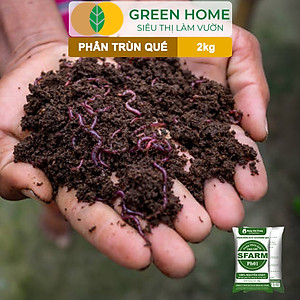 Phân Trùn Quế Greenhome, Bao 2kg, Dinh Dưỡng Hữu Cơ, Không Mùi, Tốt Cho Lan, Bonsai, Rau, Cây Ăn Trái