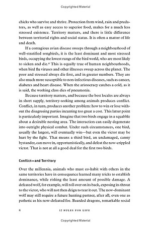 12 Rules for Life: An Antidote to Chaos