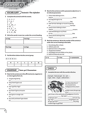 Achievers grade 7 Workbook