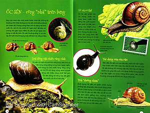 Sách Động Vật Kỳ Quặc