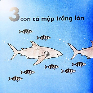 Sách Cá Voi Dài Bao Nhiêu?