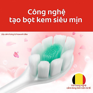 Bộ đôi bàn chải Colgate Cushion Clean công nghệ tạo bọt kem siêu mịn