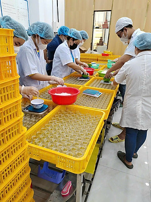 [TOP SALE] TỔ YẾN CHƯNG ĐÔNG TRÙNG HẠ THẢO 100% Tổ Yến Thật (Hàm Lượng 30%) (6 Lọ X 70ML) - Đệ Nhất Yến Đảo - Giảm Stress - Giảm Mệt Mỏi - Đẹp Da - Đẩy Lùi Lão Hóa - Điều Hòa Đường Huyết - Ổn Định Huyết Áp - Tăng Sức Đề Kháng - Tăng Sức Đề Kháng