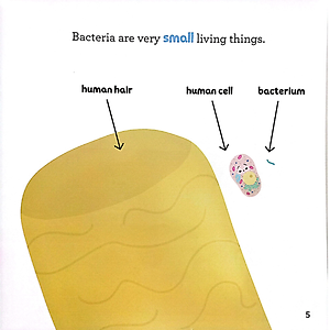 Sách Nhà Sinh Hóa Tương Lai: Bacteria & Antibiotics - Vi Khuẩn & Kháng Sinh