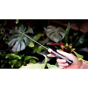 Dao Phúc Sen Phile Chống Dính - N14TMDD