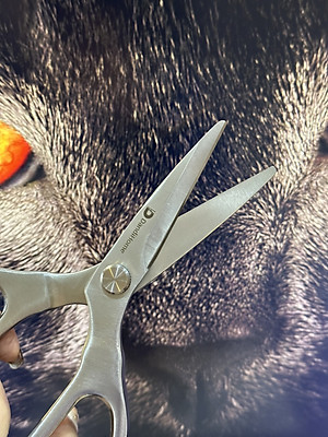 Kéo đa năng DandiHome thép cao cấp giữ độ bén tốt