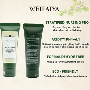 Bộ Dầu Gội Xả Weilaiya Tinh Chất Gừng, Hà Thủ Ô Cao Cấp Ngăn Rụng Tóc, Dưỡng Tóc Giúp Mọc Tóc(Bản 20ml)- Sản phẩm chính hãng