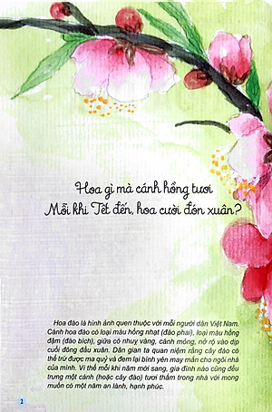 Sách Câu Đố Dân Gian Bằng Tranh - Hoa Quả (Tái Bản 2019)