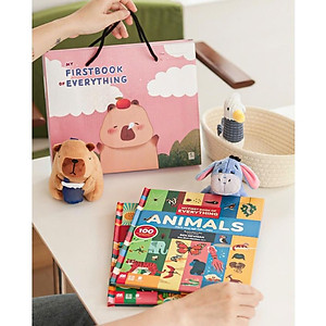 [Gia đình MinHee ] Bộ sách song ngữ Anh - Việt: My first book of Everything - Carobooks